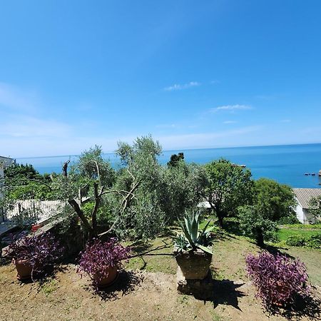 Apartment Ulcinj Exterior photo