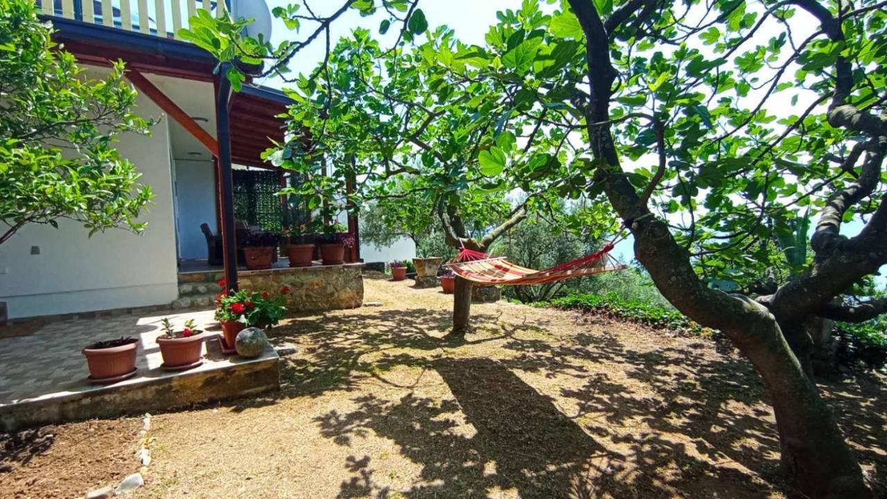 Apartment Ulcinj Exterior photo