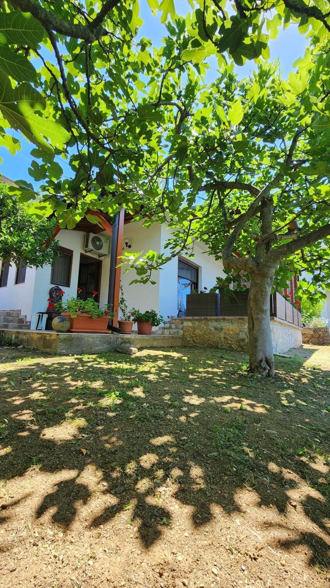 Apartment Ulcinj Exterior photo